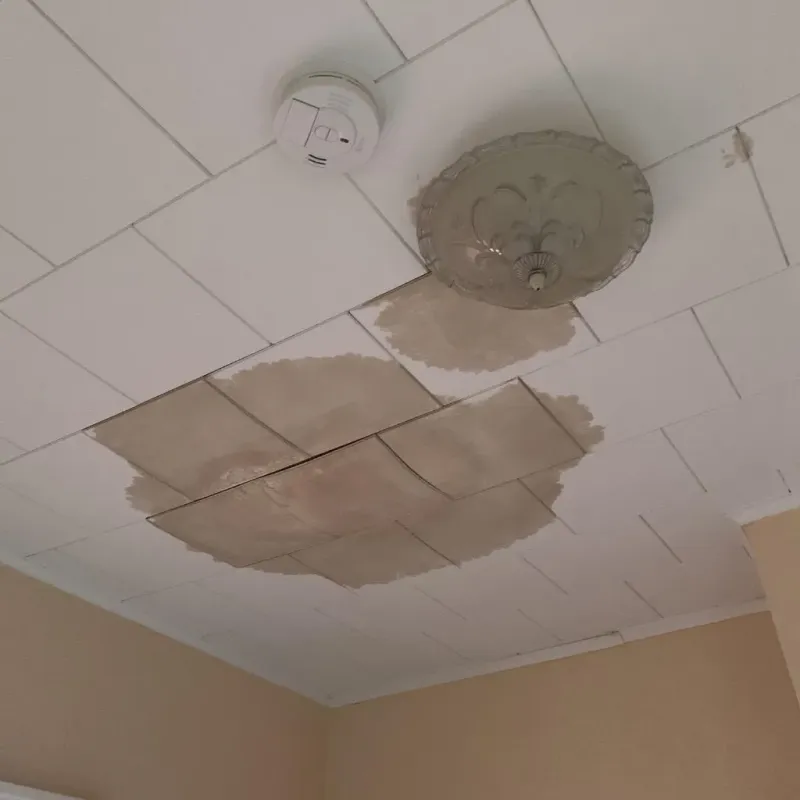 Ceiling Water Damage Repair in Valley Springs, CA
